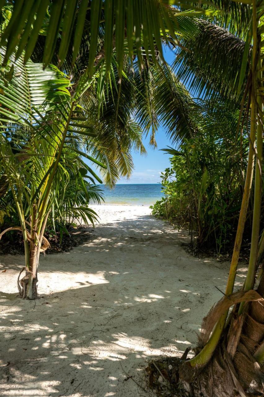 Bliss Hotel Praslin Гранд-Анс Екстер'єр фото